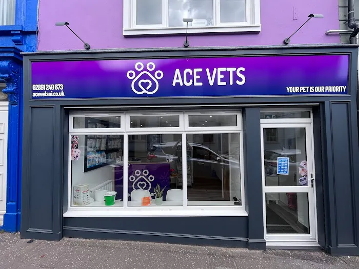 ACE Vets Donaghadee Picture 1