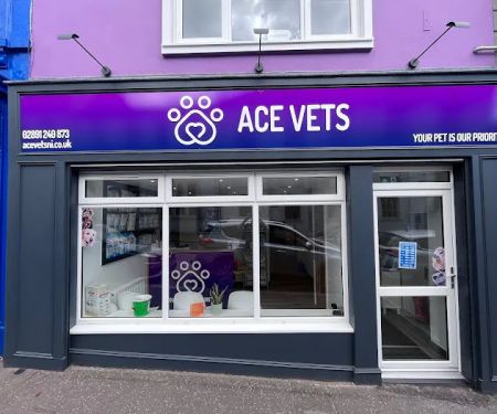 ACE Vets Donaghadee