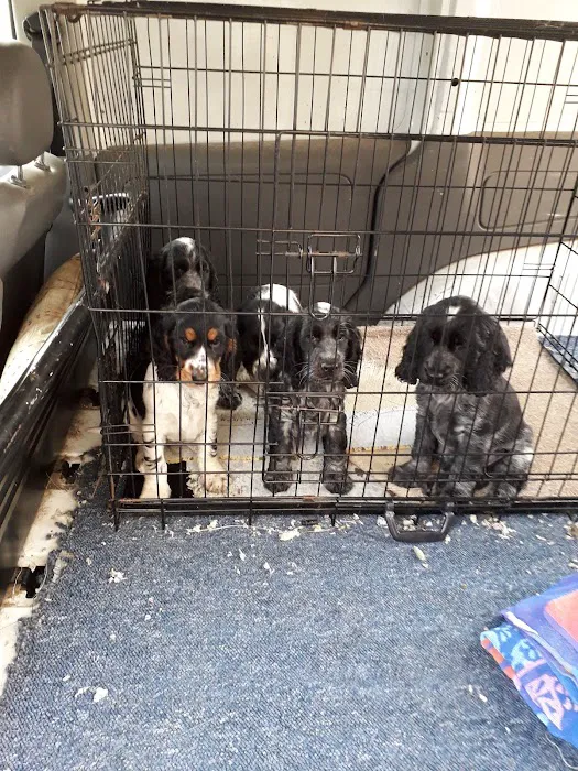Lake View Veterinary Centre Picture 7