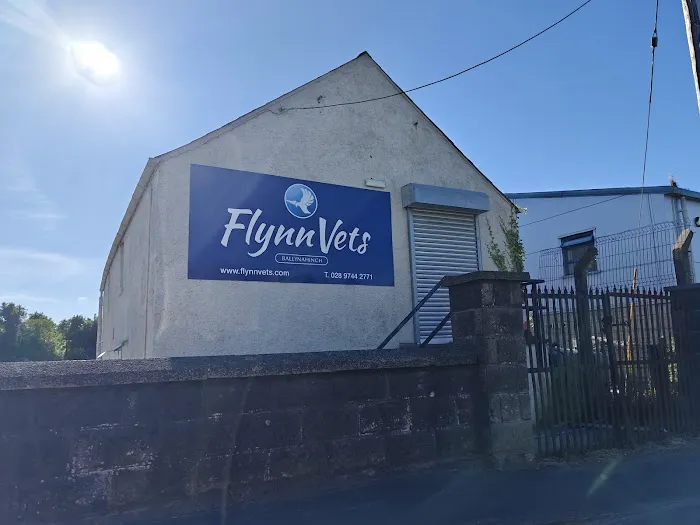 Flynn Vets Ballynahinch Picture 2