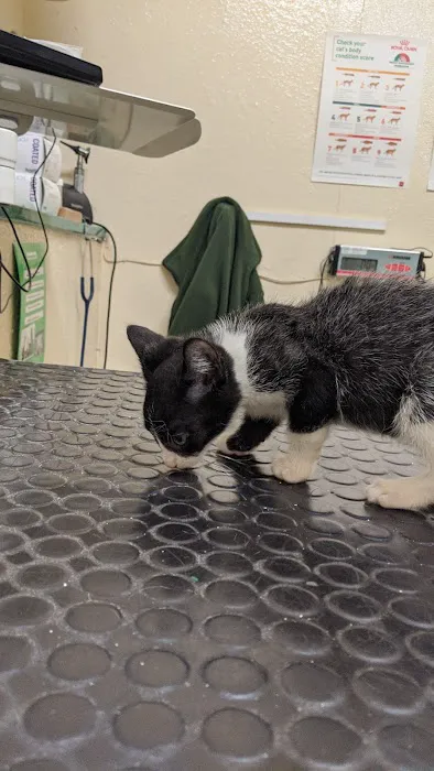 Lisburn Veterinary Clinic Picture 4