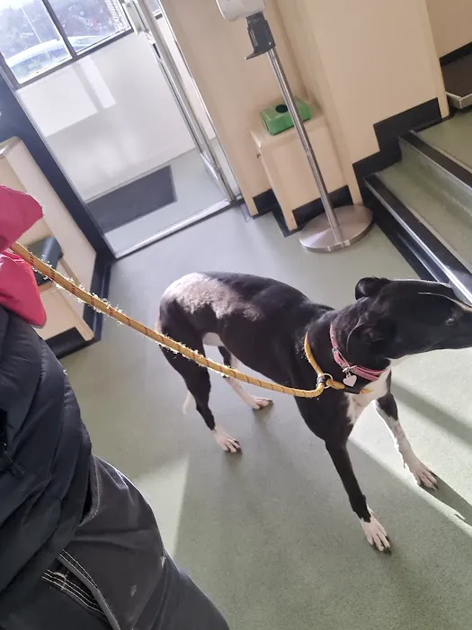 Churchfield Veterinary Centre Picture 8