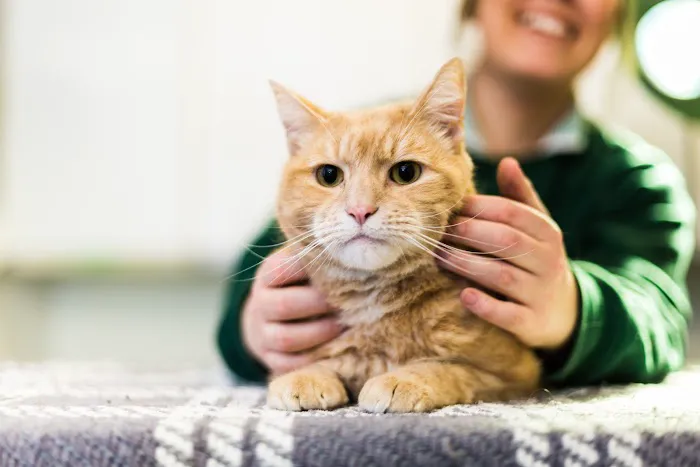 Churchfield Veterinary Centre Picture 5