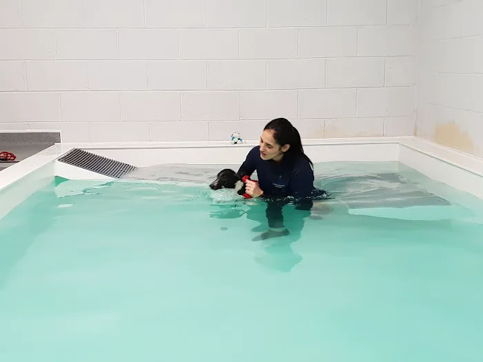 Aquapaws Canine Hydrotherapy & Fun Swim Picture 1
