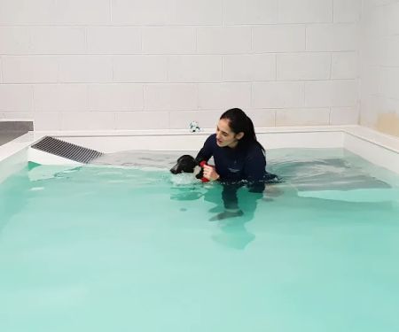 Aquapaws Canine Hydrotherapy & Fun Swim