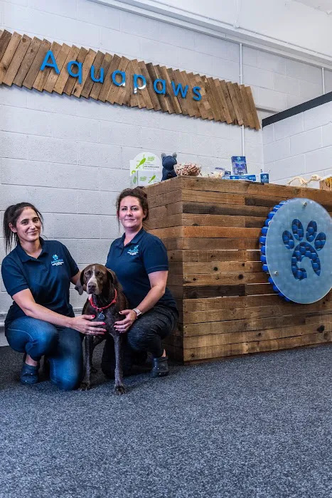 Aquapaws Canine Hydrotherapy & Fun Swim Picture 8