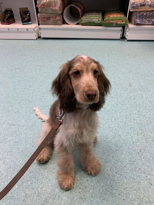 Vets For Pets Barnsley 24/7 Hospital Picture 5