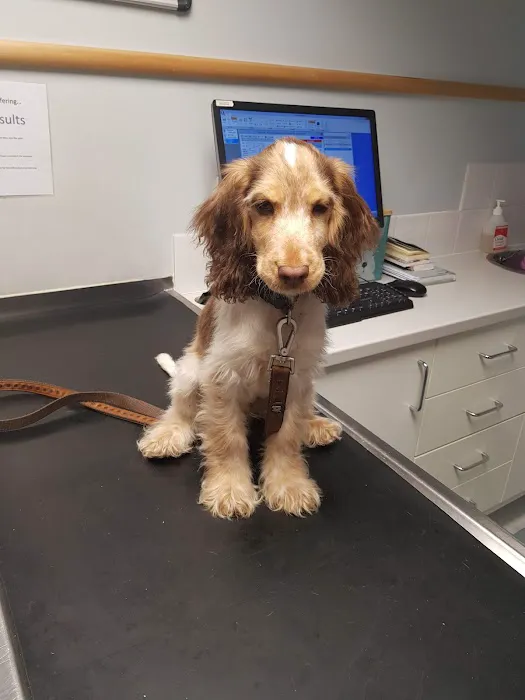 Vets For Pets Barnsley 24/7 Hospital Picture 10