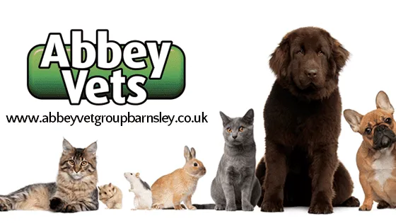 Abbey Vets Picture 2