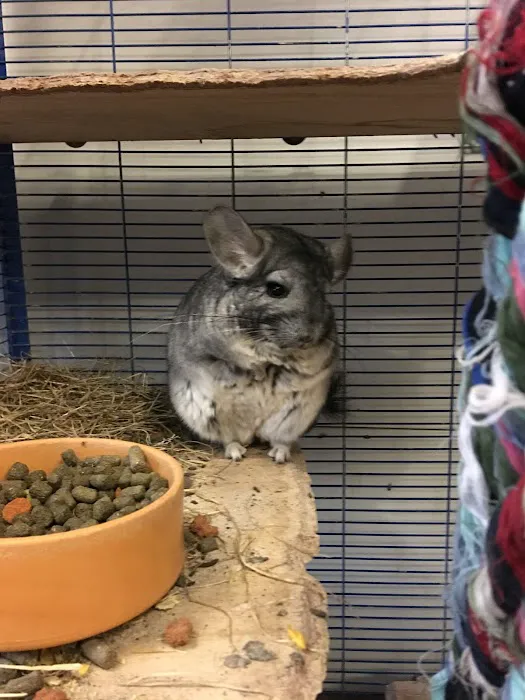 Nelson Pet Shop Picture 1