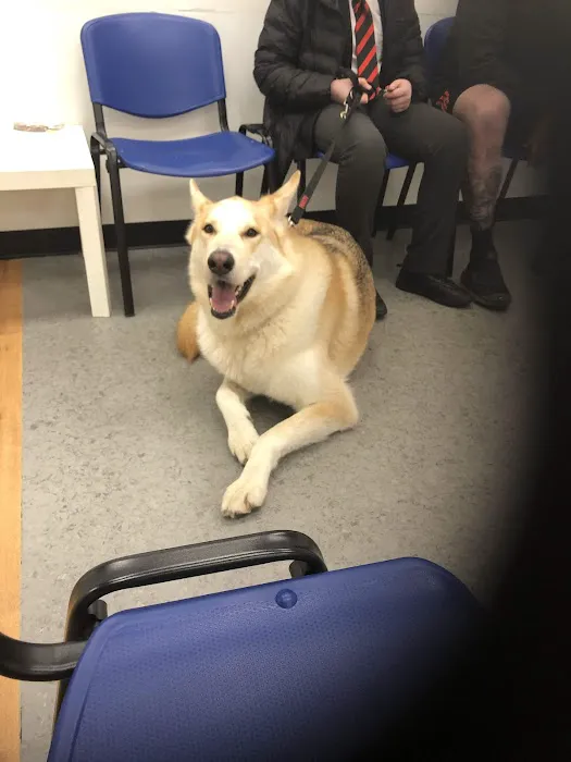 Pets at Home Colne Picture 4