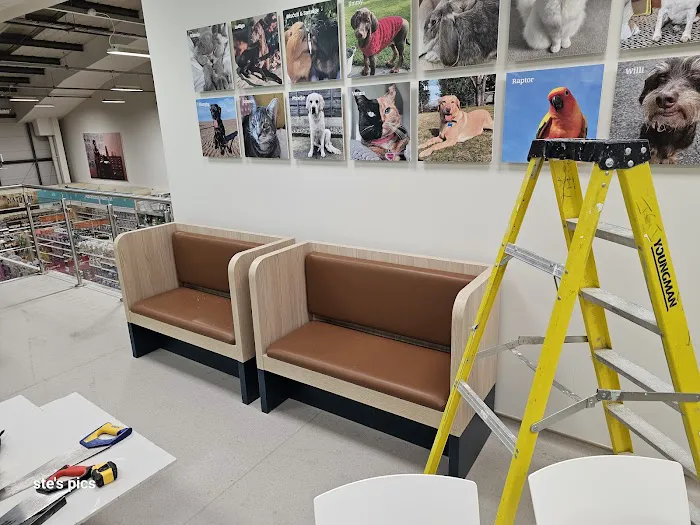 Pets at Home Colne Picture 7