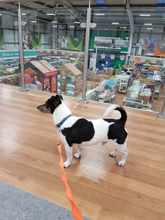 Pets at Home Colne Picture 9