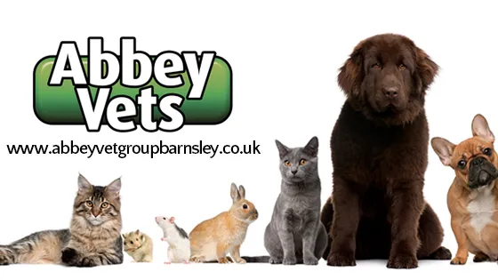 Abbey Veterinary Group Ltd Picture 3