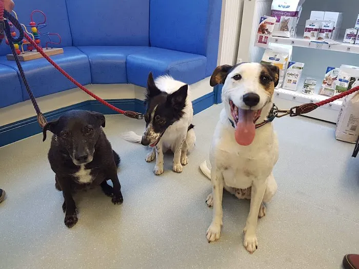 Abbey Veterinary Group Ltd Picture 6