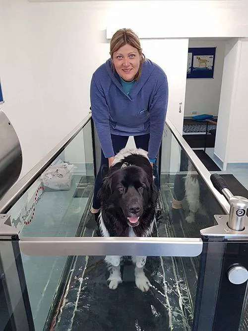 Abbey Veterinary Group Ltd Picture 10