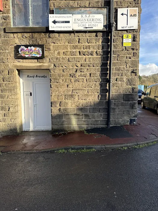 Reeffreaks Picture 3