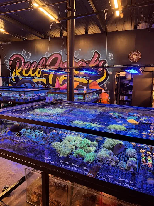 Reeffreaks Picture 4