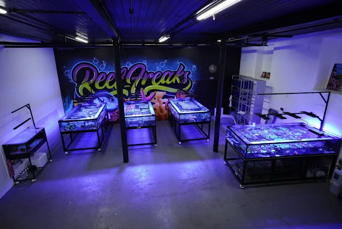 Reeffreaks Picture 7