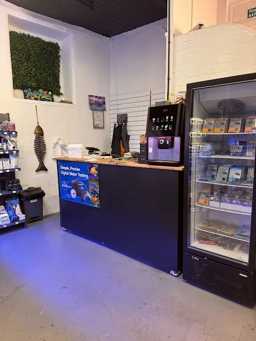 Reeffreaks Picture 10