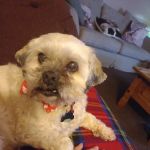 Donaldson's Vets Ltd