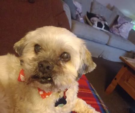 Donaldson's Vets Ltd