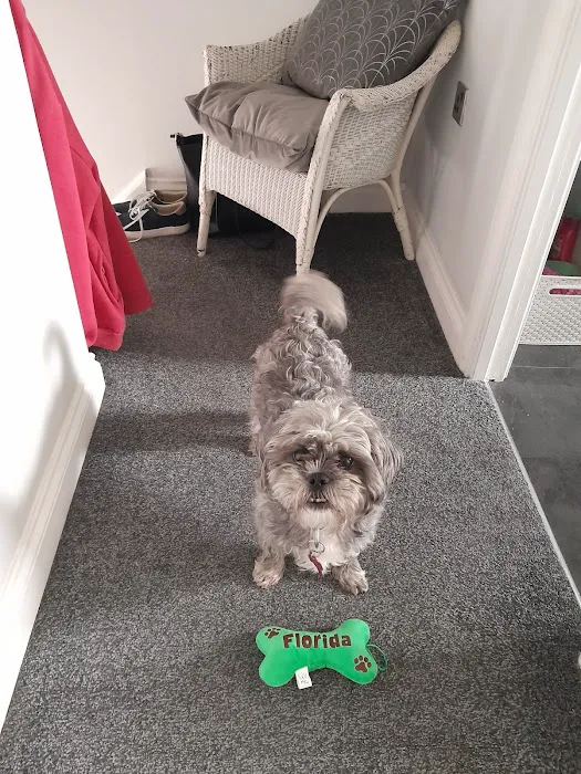 Pets at Home Clitheroe Picture 2