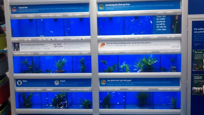 Pets at Home Clitheroe Picture 7