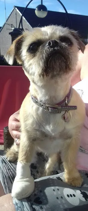 Pets at Home Clitheroe Picture 6