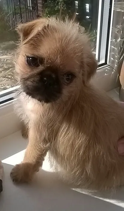 Pets at Home Clitheroe Picture 9