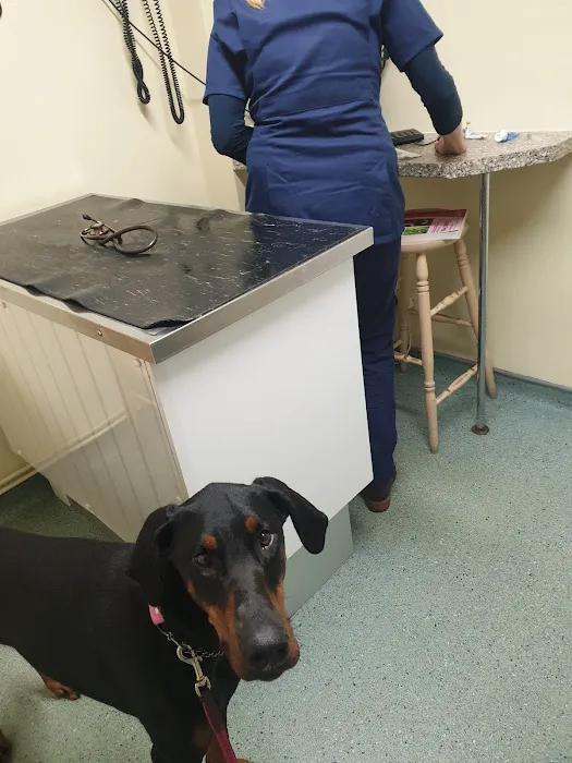 Cockburn Vets Picture 9