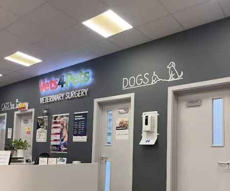Vets4Pets - Coalville