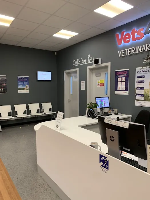 Vets4Pets - Coalville Picture 10