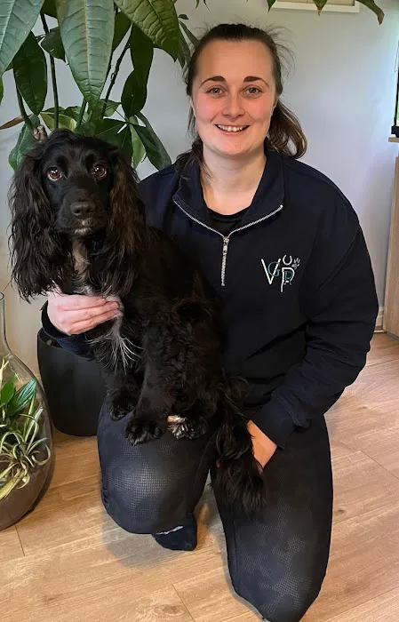 GR Veterinary Physiotherapy Picture 6