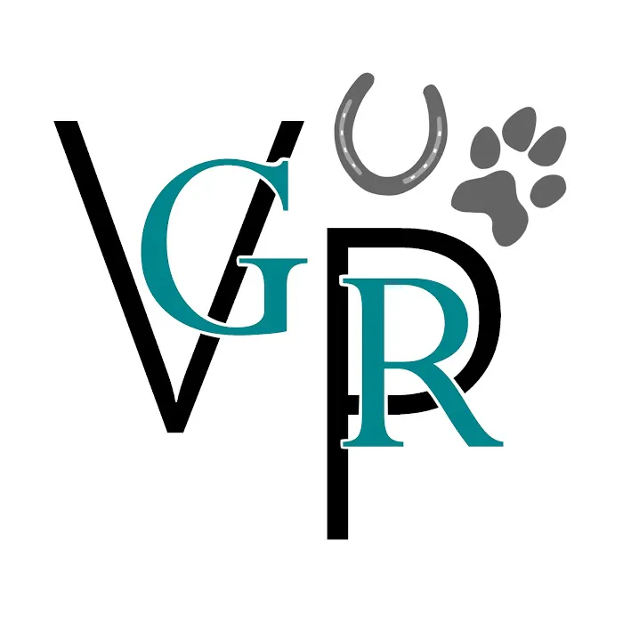 GR Veterinary Physiotherapy Picture 7