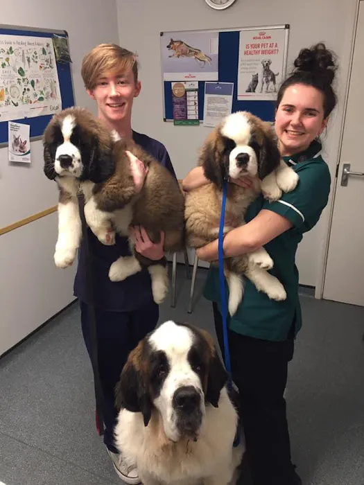 Ash Tree Vets, Market Harborough Picture 1