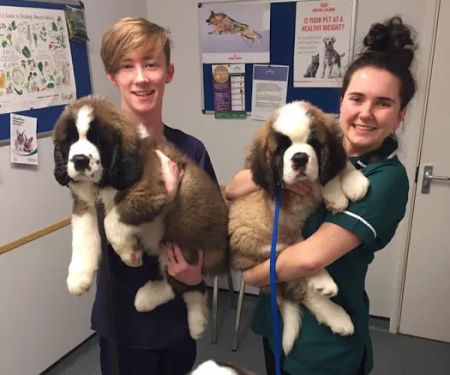 Ash Tree Vets, Market Harborough