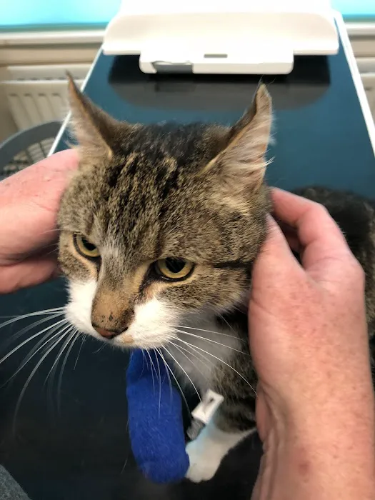 Ash Tree Vets, Market Harborough Picture 3