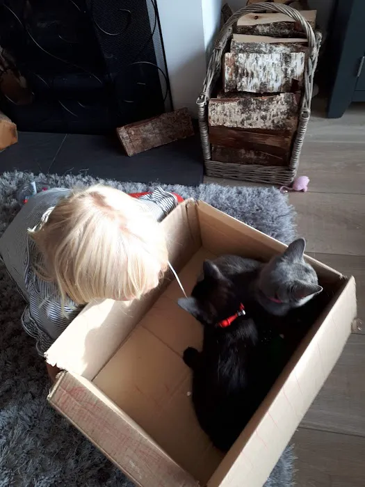 Vets for Pets - Market Harborough Picture 1