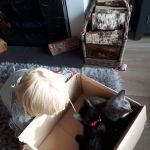 Vets for Pets - Market Harborough