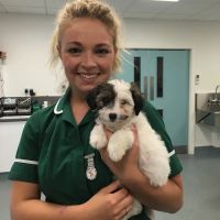 Town & Country Veterinary Centre ico