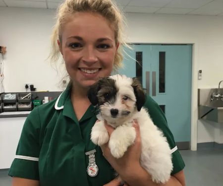 Town & Country Veterinary Centre