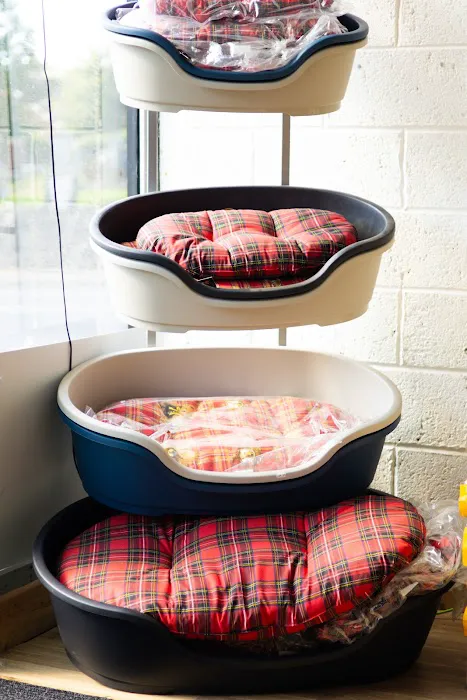 all4pets | Dog Food | Cat Food | Treats | Accessories Picture 1