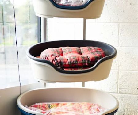 all4pets | Dog Food | Cat Food | Treats | Accessories