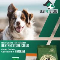 Best Pet Store ico