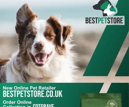 Best Pet Store
