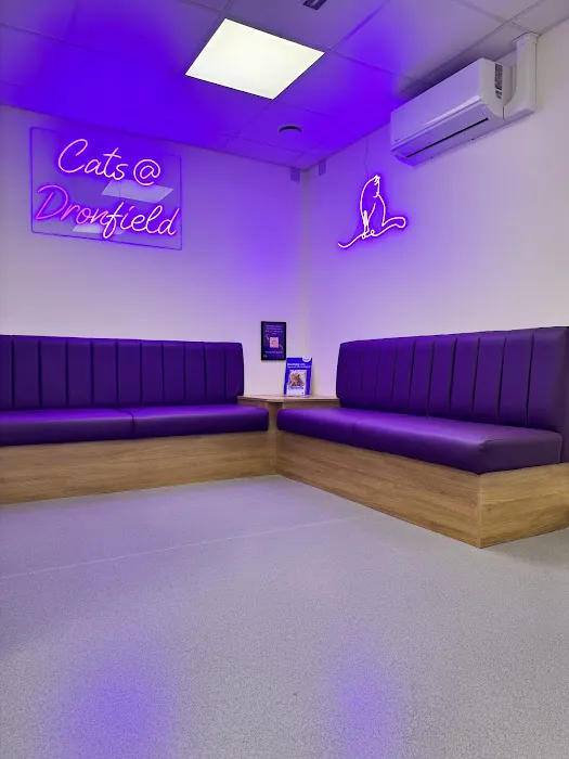The Vets At Dronfield Picture 3