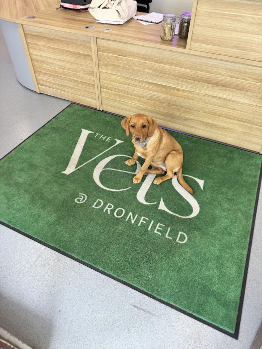 The Vets At Dronfield Picture 4