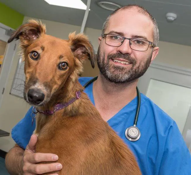 The Vets At Dronfield Picture 7