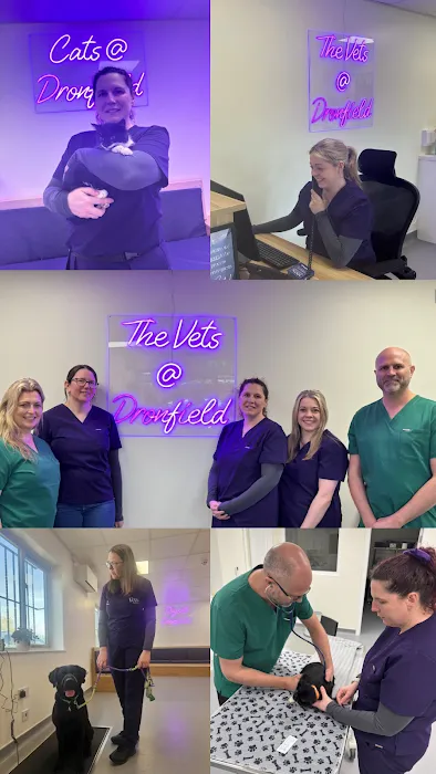 The Vets At Dronfield Picture 9